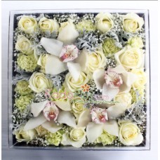 Splendeur Box: Eternity